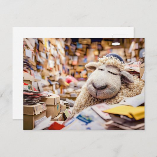 Schapen in slaap in post-kantoor illustratie feestdagenkaart (Voorkant / Achterkant)