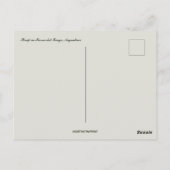 Schapen in Tierra del Fuego Argentinië Briefkaart (Achterkant)