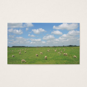 Schapen in weiland kleine fotokaart visitekaartje