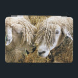 SCHAPEN iPad MINI COVER<br><div class="desc">Twee prachtige Cotswold-schapen hebben fotografisch vastgelegd op een grappig en grappig moment dat ze met elkaar spraken. Katoen schaap is afkomstig van de Katoen in Engeland en wordt gefokt voor wol en vlees. Ze hebben lange vlooien met een bijna gouden tint.</div>
