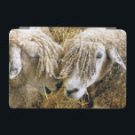 SCHAPEN iPad MINI COVER<br><div class="desc">Twee prachtige Cotswold-schapen hebben fotografisch vastgelegd op een grappig en grappig moment dat ze met elkaar spraken. Katoen schaap is afkomstig van de Katoen in Engeland en wordt gefokt voor wol en vlees. Ze hebben lange vlooien met een bijna gouden tint.</div>
