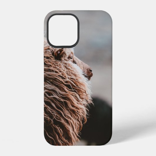 SCHAPEN iPhone HOESJE (Achterkant)