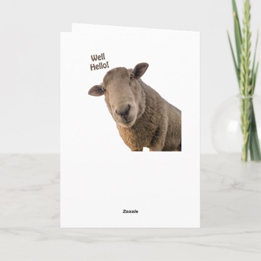 Schapen Kaart (Achterkant)