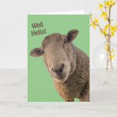 Schapen Kaart (Gele Bloem)