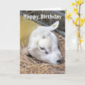 SCHAPEN KAART (Gele Bloem)