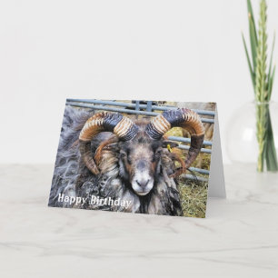 SCHAPEN KAART