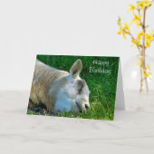 SCHAPEN KAART (Gele Bloem)