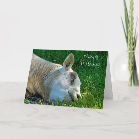 SCHAPEN KAART (Voorkant)