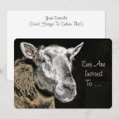 SCHAPEN KAART (Voorkant / Achterkant)