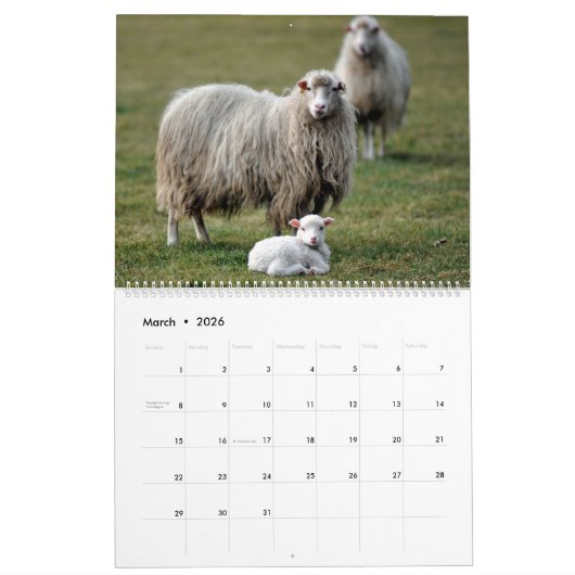 Schapen Kalender (Mar 2026)