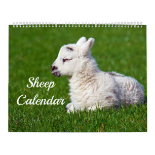 Schapen Kalender