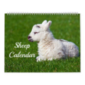 Schapen Kalender (Hoes)
