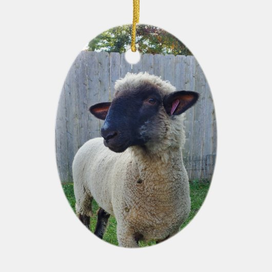Schapen Keramisch Ornament (Voorkant)