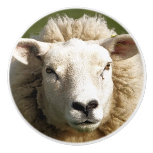 SCHAPEN KERAMISCHE KNOP
