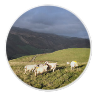 SCHAPEN KERAMISCHE KNOP