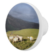 SCHAPEN KERAMISCHE KNOP (Rechts)