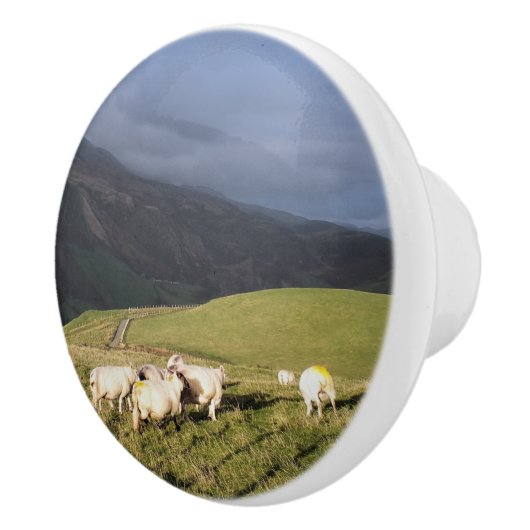 SCHAPEN KERAMISCHE KNOP (Rechts)