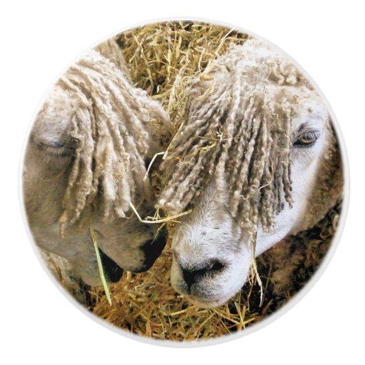 SCHAPEN KERAMISCHE KNOP (Voorkant)