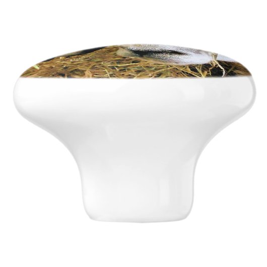 SCHAPEN KERAMISCHE KNOP (Zijkant)