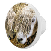 SCHAPEN KERAMISCHE KNOP (Rechts)