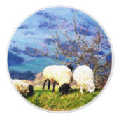 SCHAPEN KERAMISCHE KNOP (Voorkant)