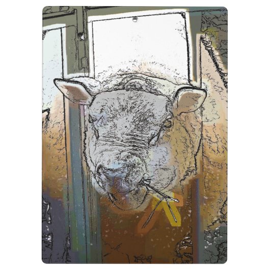 SCHAPEN KLEMBORD (Achterkant)