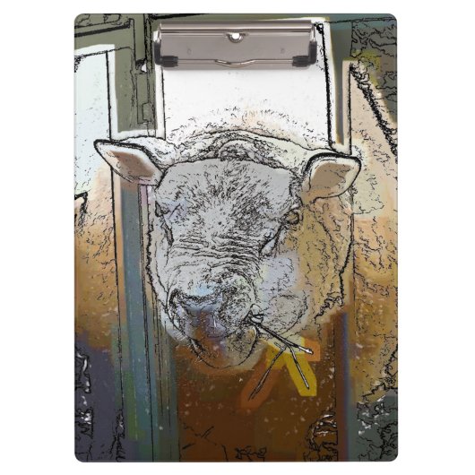 SCHAPEN KLEMBORD (Voorkant)