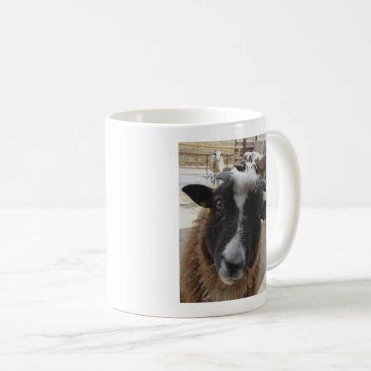 Schapen Koffiemok (Voorkant rechts)