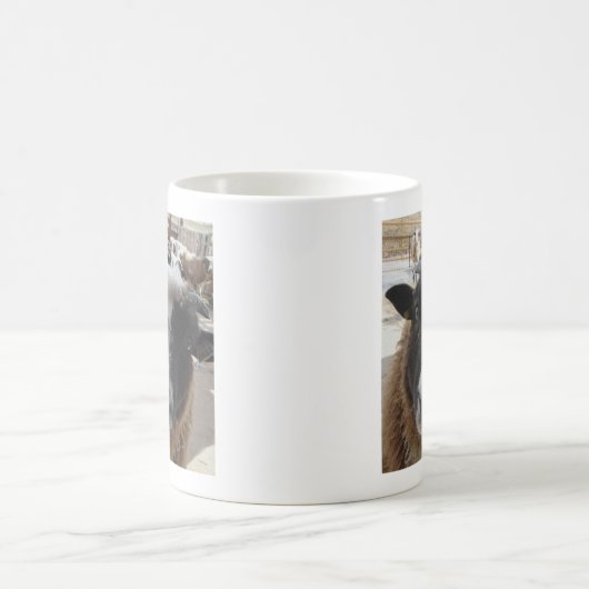 Schapen Koffiemok (Center)