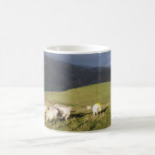 SCHAPEN KOFFIEMOK (Center)