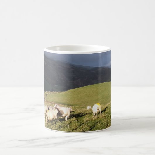 SCHAPEN KOFFIEMOK (Center)