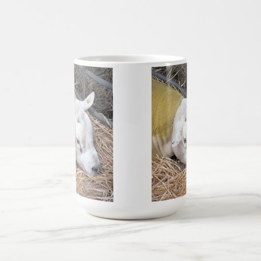 SCHAPEN KOFFIEMOK (Center)