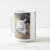 SCHAPEN KOFFIEMOK (Voorkant links)