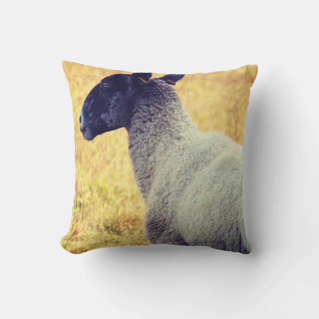 Schapen Kussen (Voorkant)