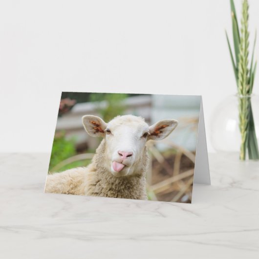 Schapen laten tong zien feestdagen kaart (Voorkant)