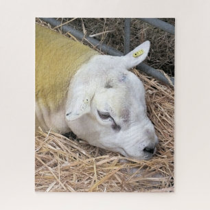 SCHAPEN LEGPUZZEL