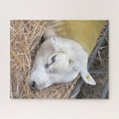 SCHAPEN LEGPUZZEL (Horizontaal)