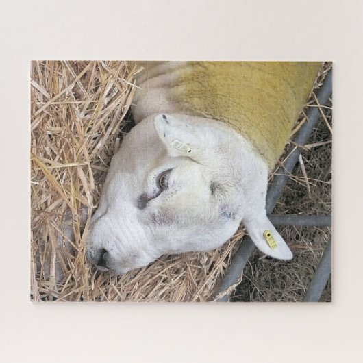 SCHAPEN LEGPUZZEL (Horizontaal)
