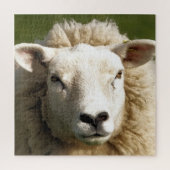 SCHAPEN LEGPUZZEL (Verticaal)