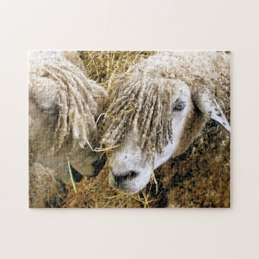 SCHAPEN LEGPUZZEL (Horizontaal)
