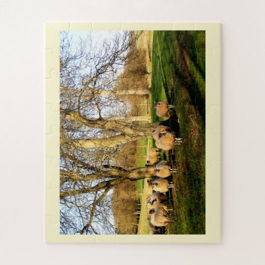 Schapen Legpuzzel (Verticaal)