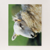 SCHAPEN LEGPUZZEL (Verticaal)