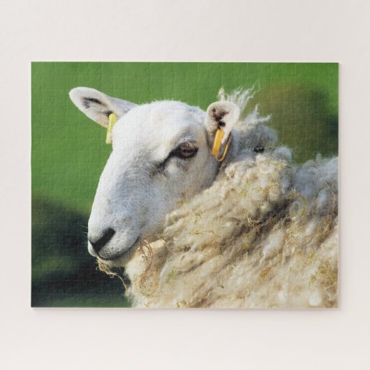 SCHAPEN LEGPUZZEL (Horizontaal)