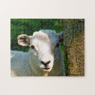 SCHAPEN LEGPUZZEL