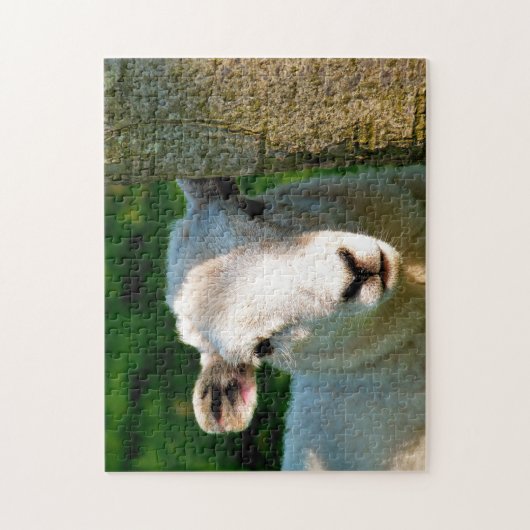 SCHAPEN LEGPUZZEL (Verticaal)