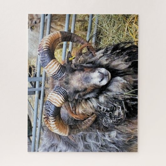 SCHAPEN LEGPUZZEL (Verticaal)