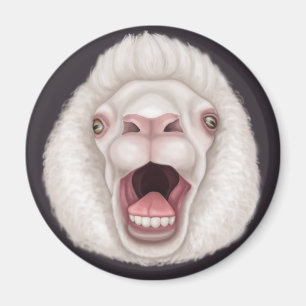 Schapen Magneet
