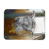 SCHAPEN MAGNEET (Horizontaal)