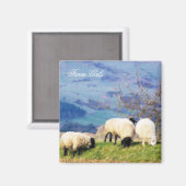 SCHAPEN MAGNEET (Voorkant / Achterkant)