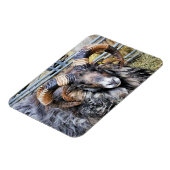 SCHAPEN MAGNEET (Linkerzijde)